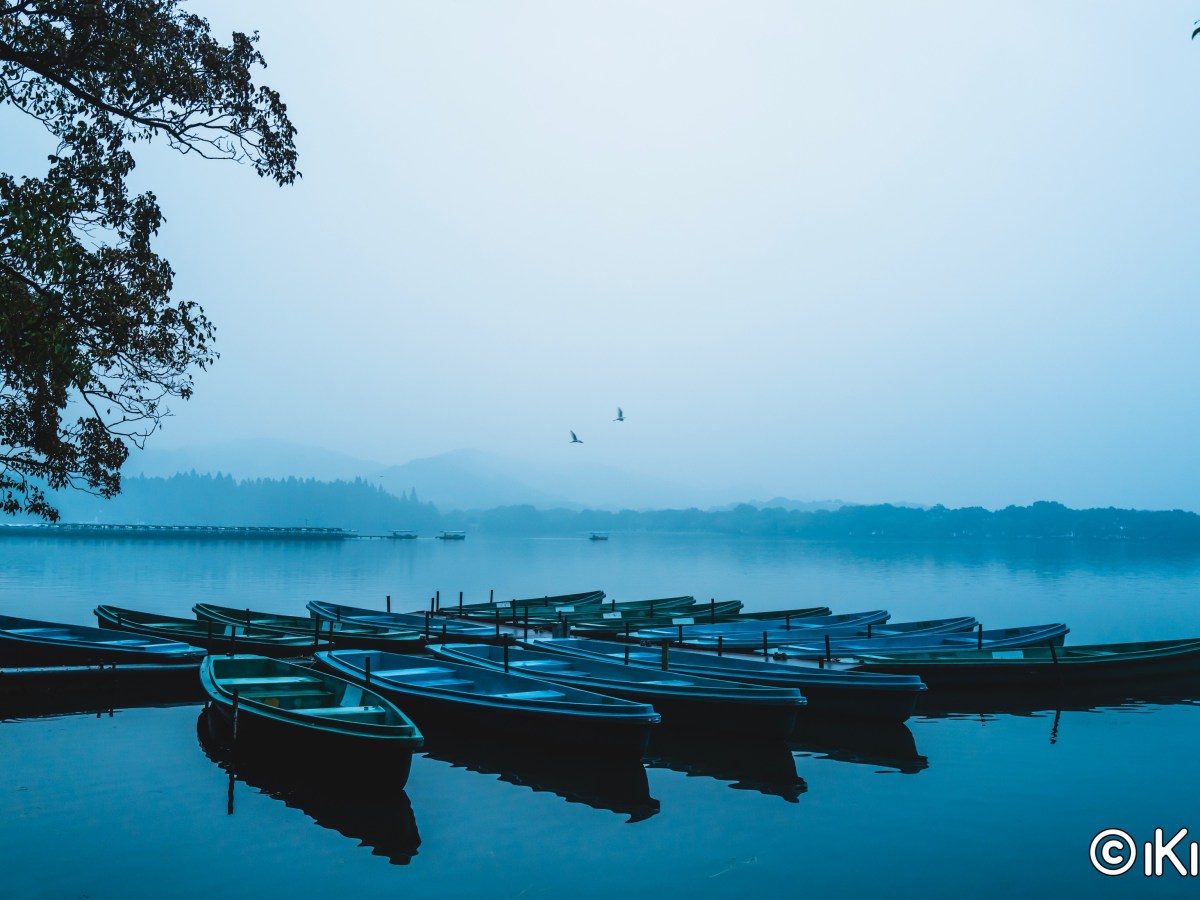 2020·杭州·上海