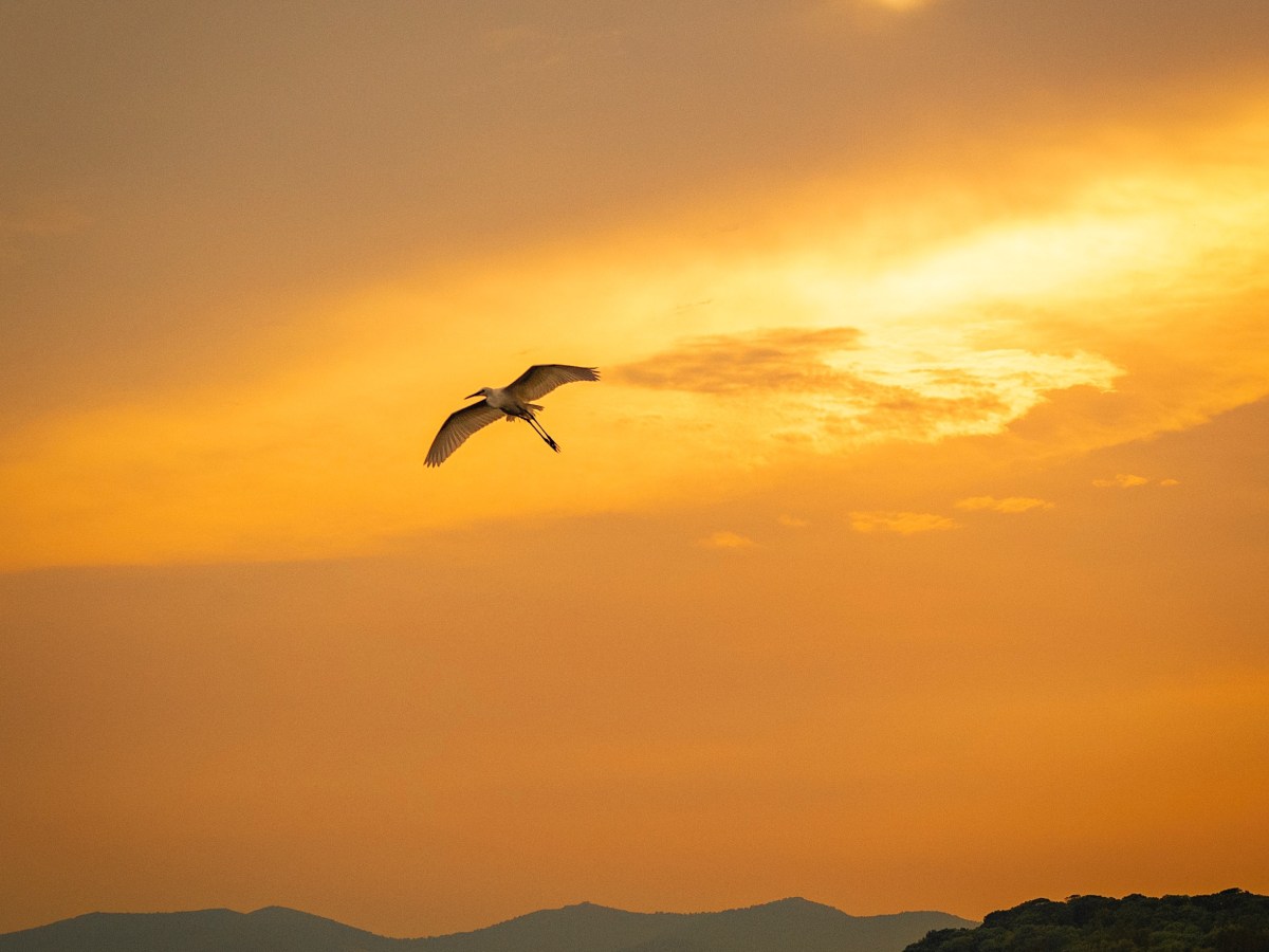 2022·無錫·蘇州