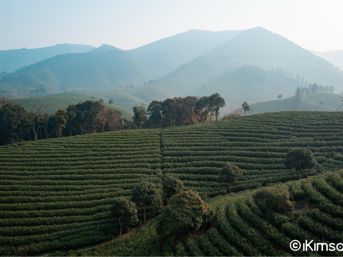 2023·南京·安吉